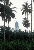 Spire