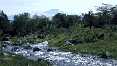 Arusha