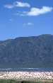 Bogoria