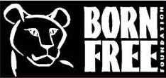 Born Free