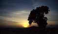 Ngorongoro Crater