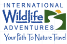 International Wildlife Adventures
